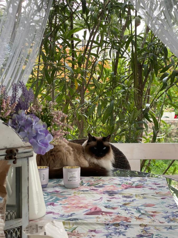 B&B La Terrazza Поццоленґо Екстер'єр фото